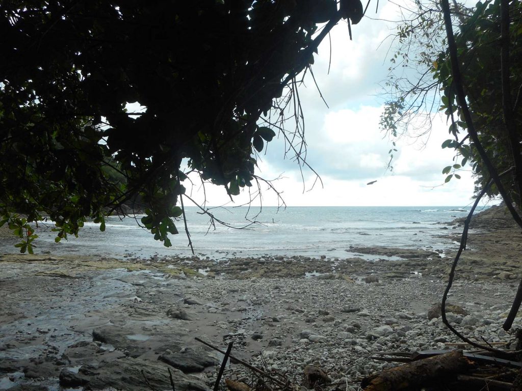 costarica-plage-jungle